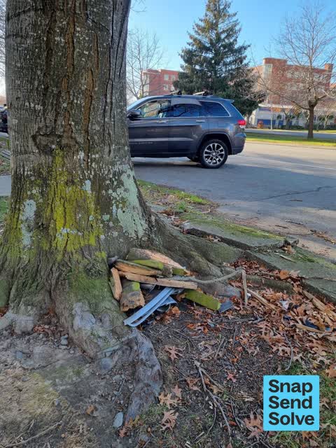 Litter — a report photo