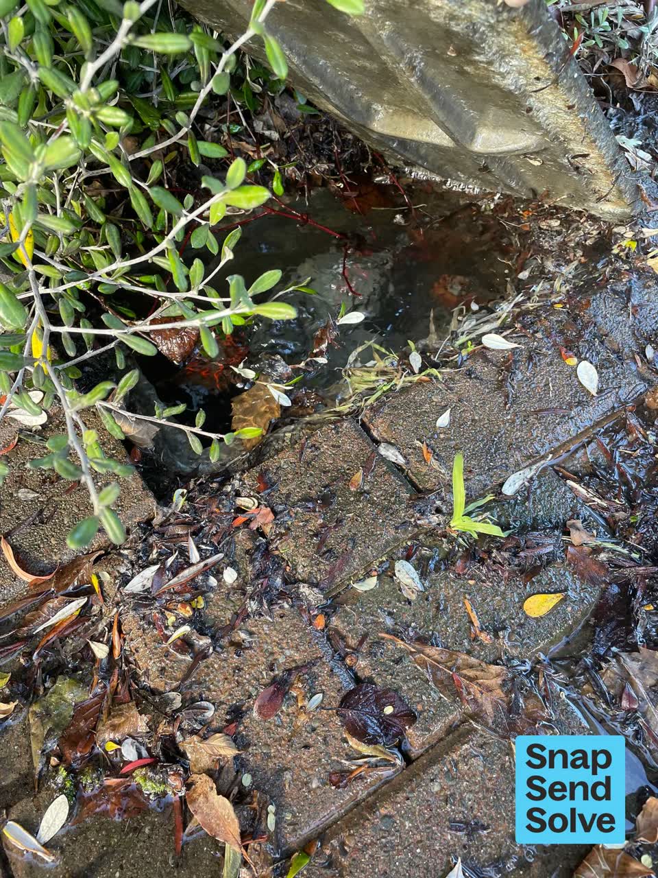 The photograph attached to this water leak report
