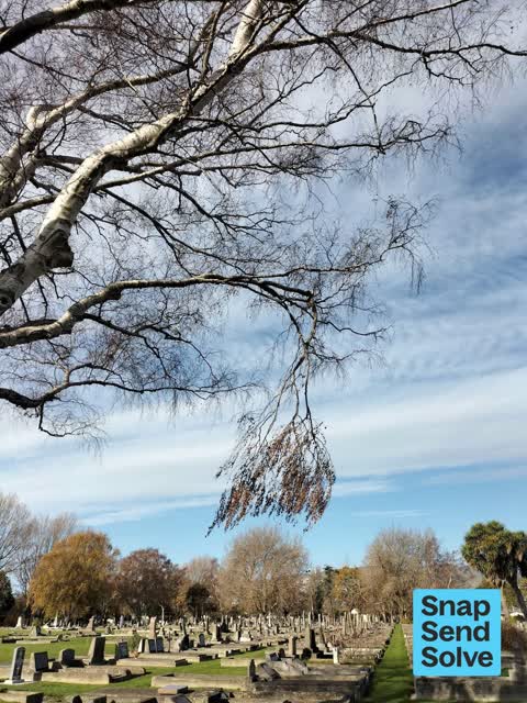 Park - General Request, a report photo