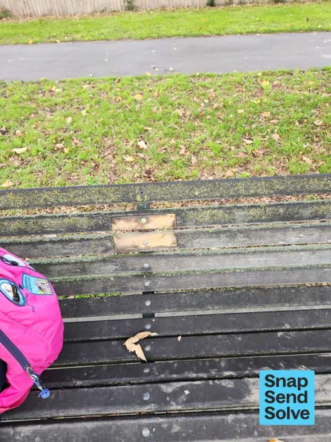 Park - General Request, a report photo