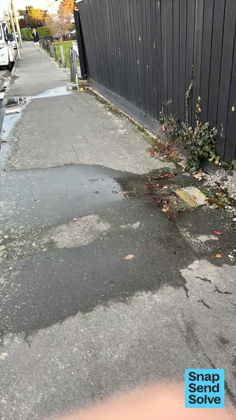 Water Leak, a report photo