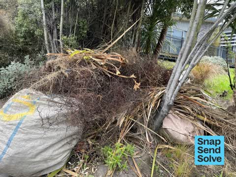 Overgrown Vegetation — a report photo