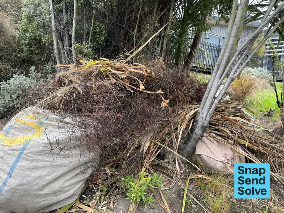 The photograph attached to this overgrown vegetation report