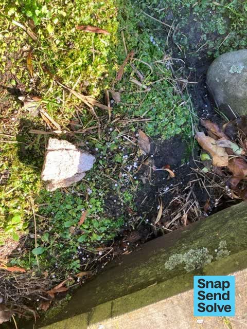 Water Pollution - Sediment, a report photo