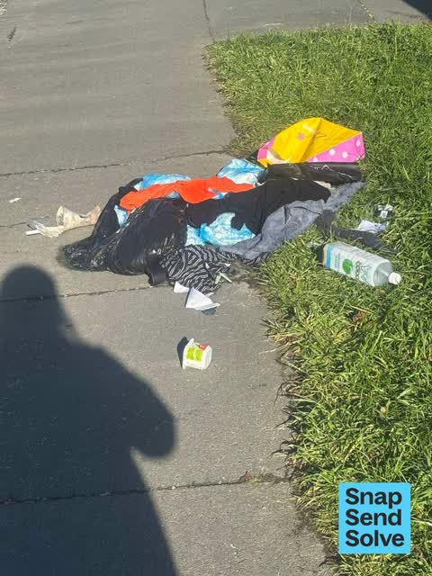 Litter, a report photo