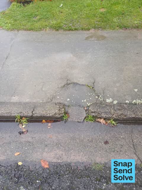 Water Leak, a report photo