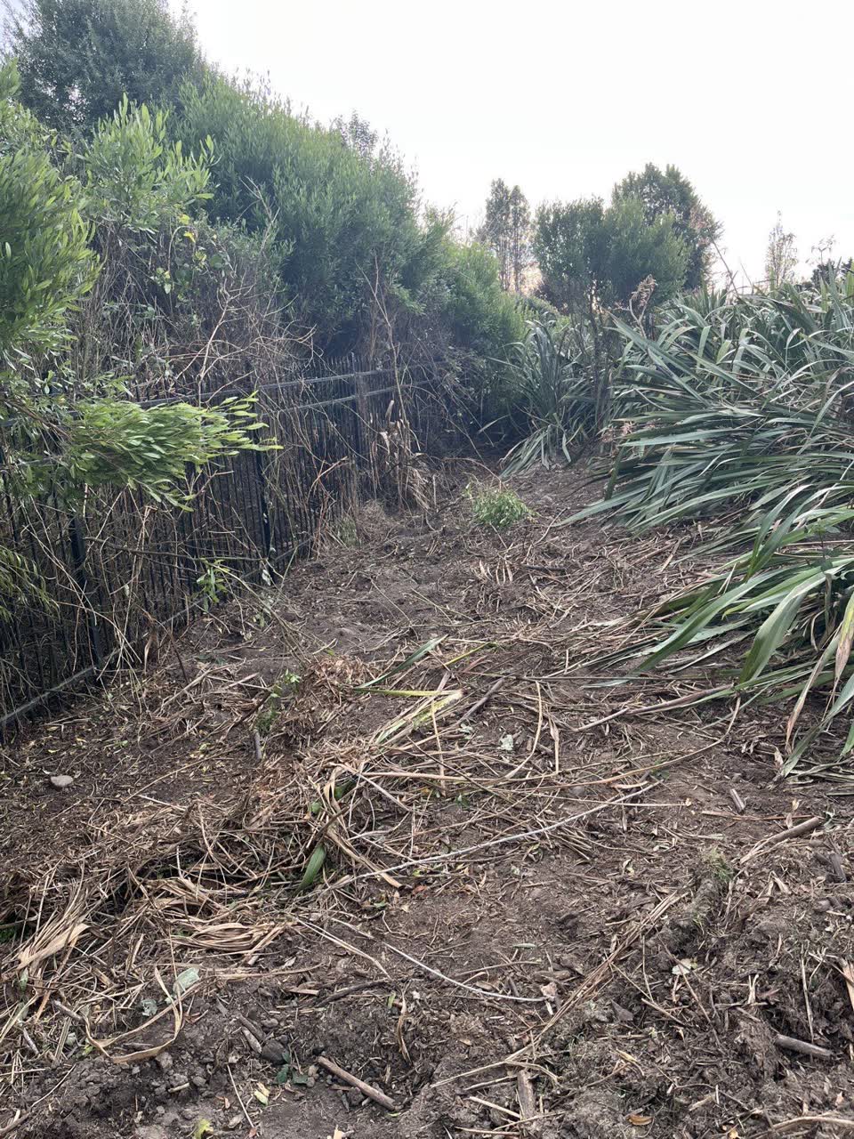 The photograph attached to this overgrown vegetation report