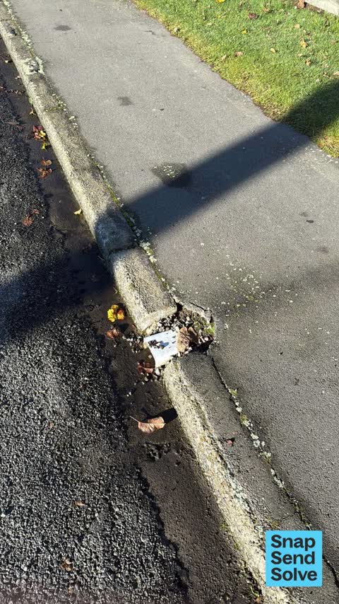 Pavement - Damaged, a report photo