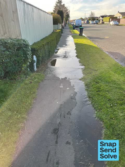 Water Leak, a report photo