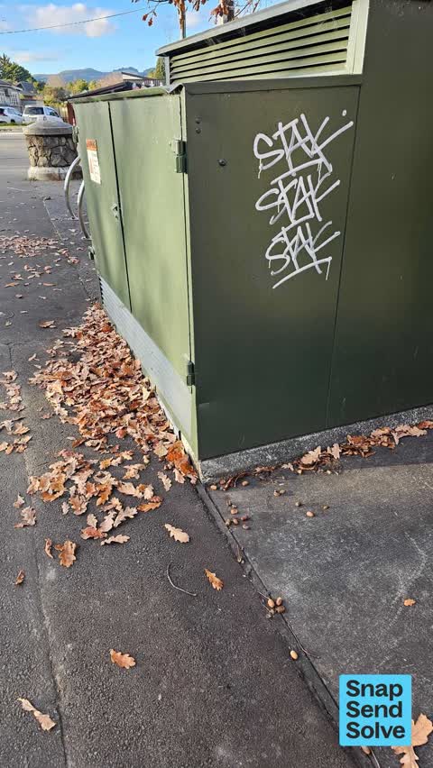 Graffiti on a traffic light pole or cabinet, or wa, a report photo
