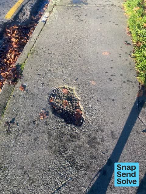 Pavement - Damaged, a report photo