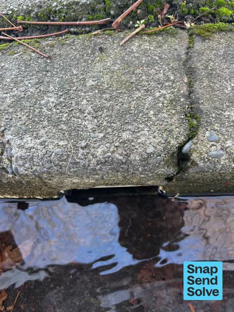 Water Leak, a report photo