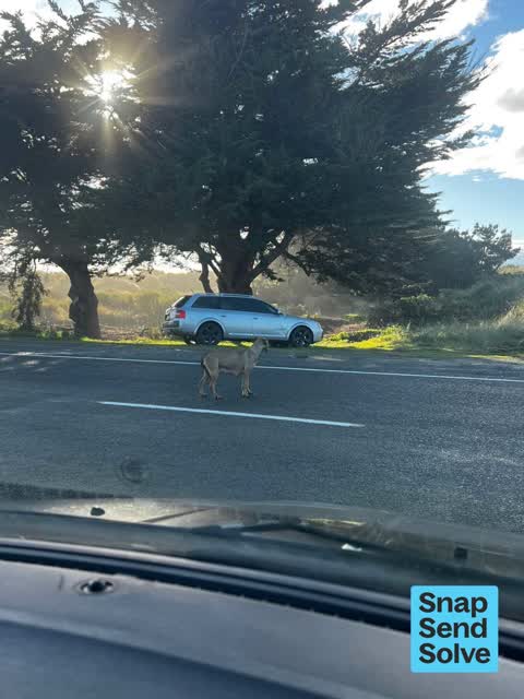 Hazard, vehicle, a report photo