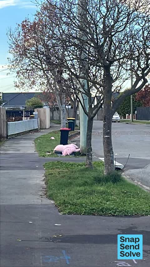 Dumped Rubbish, a report photo