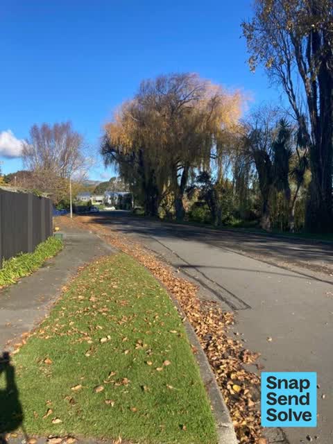 Street Cleaning, a report photo