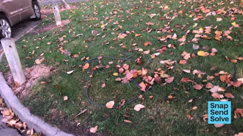Park - General Request — a report photo