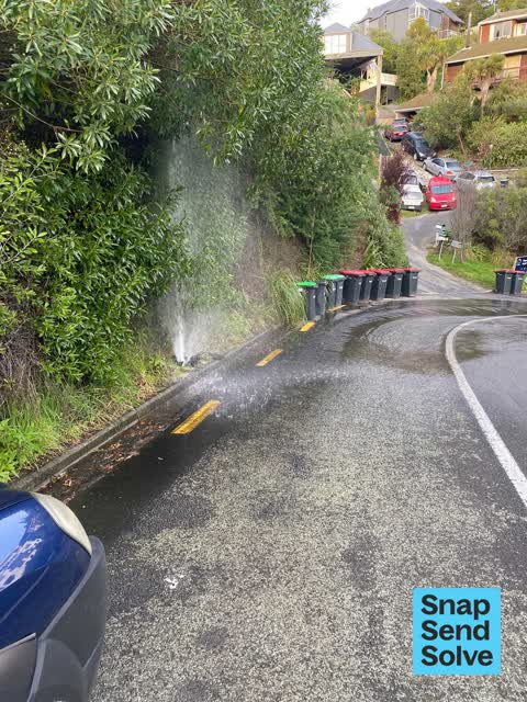 Water Leak, a report photo