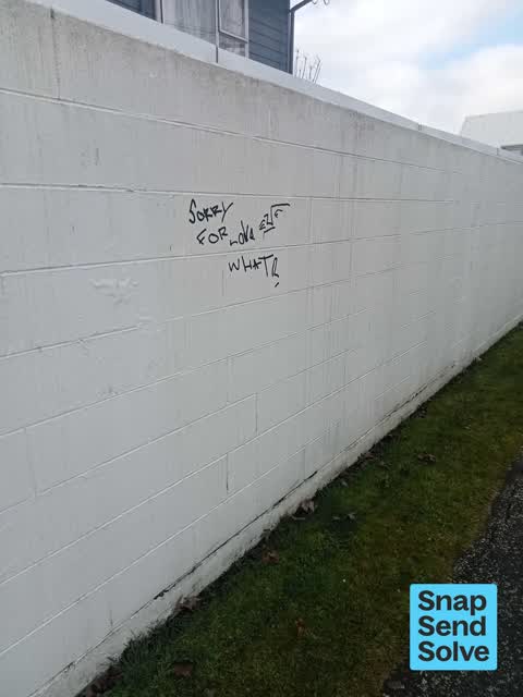 Graffiti on a fence, building or structure, a report photo