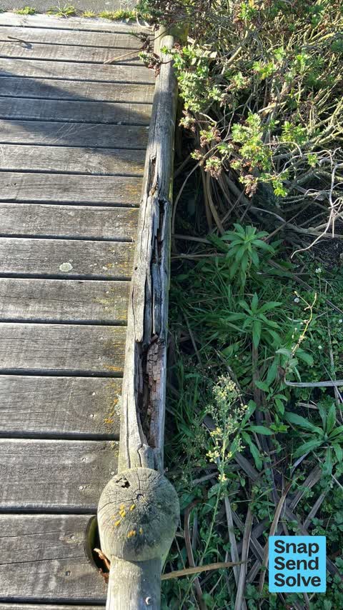 Park - General Request, a report photo