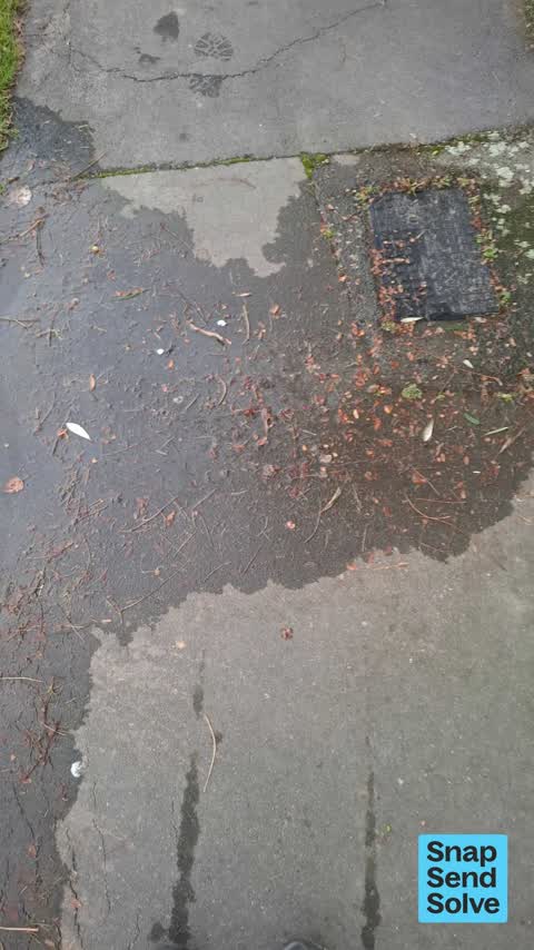Water Leak, a report photo