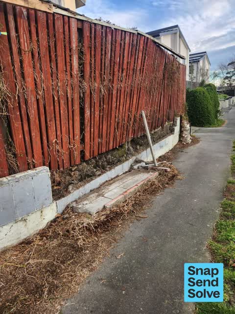 Overgrown Vegetation, a report photo
