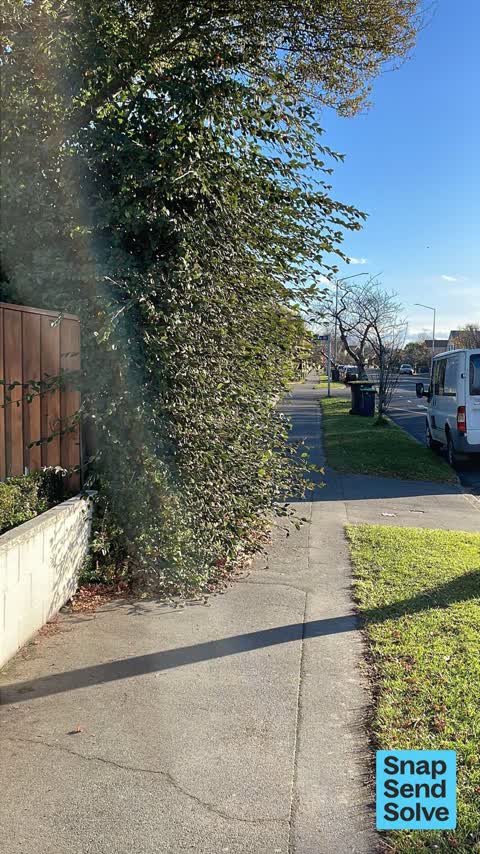 Overgrown Vegetation, a report photo