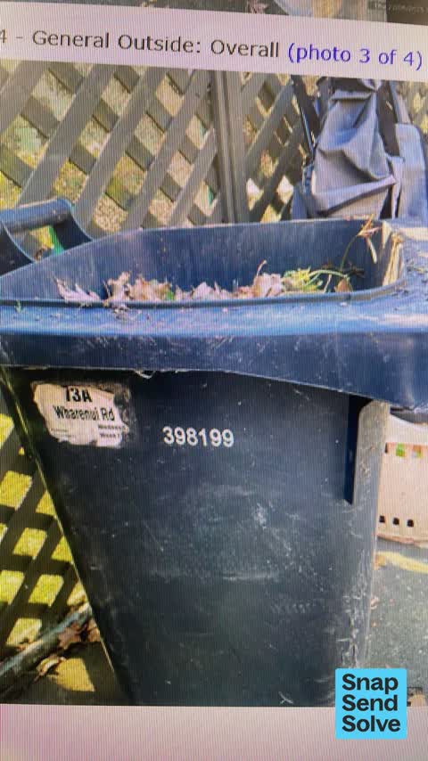 Rubbish and Bins - General, a report photo