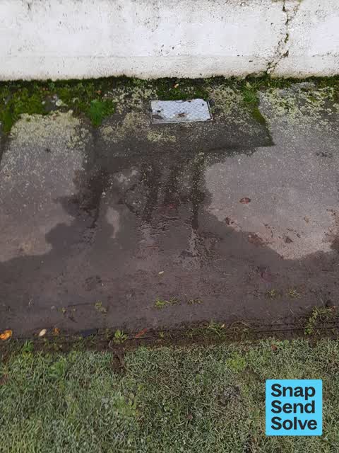 Water Leak, a report photo