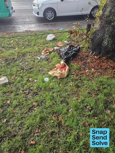 Litter, a report photo
