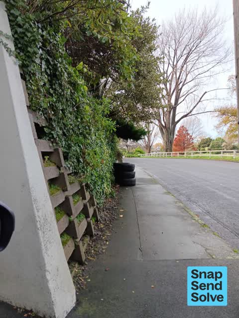 Dumped Rubbish — a report photo