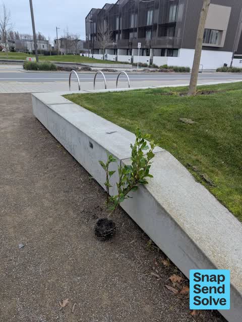 Park - General Request — a report photo