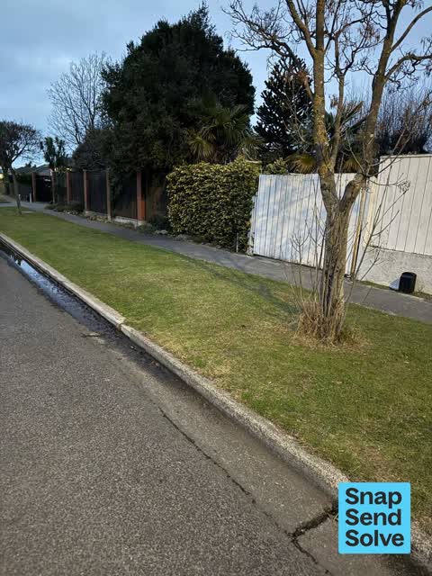 Road Blockage, a report photo