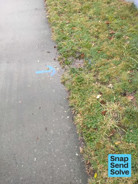 Water Leak, a report photo