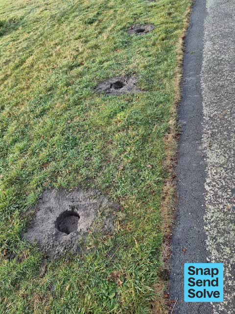 Park - General Request, a report photo