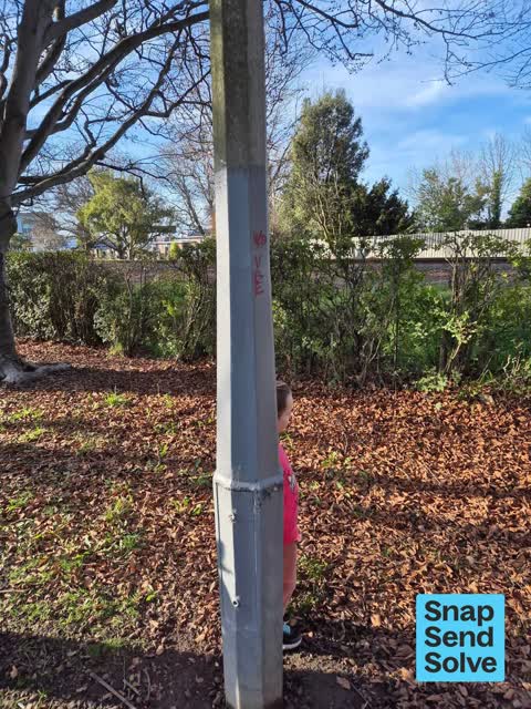General Request — a report photo