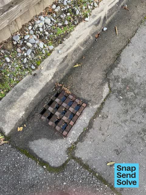 Sewer - Leak / Blockage, a report photo