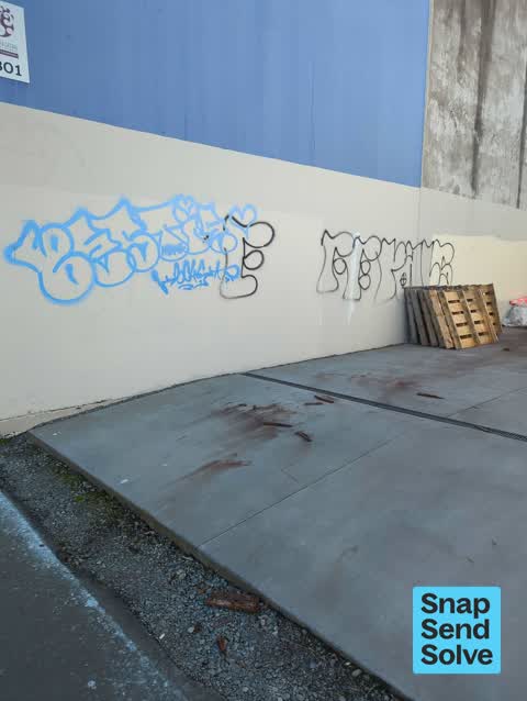 Graffiti on a fence, building or structure, a report photo