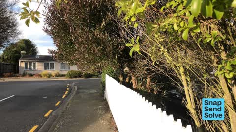 Overgrown Vegetation — a report photo