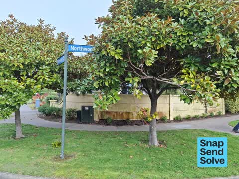 Trees - General, a report photo