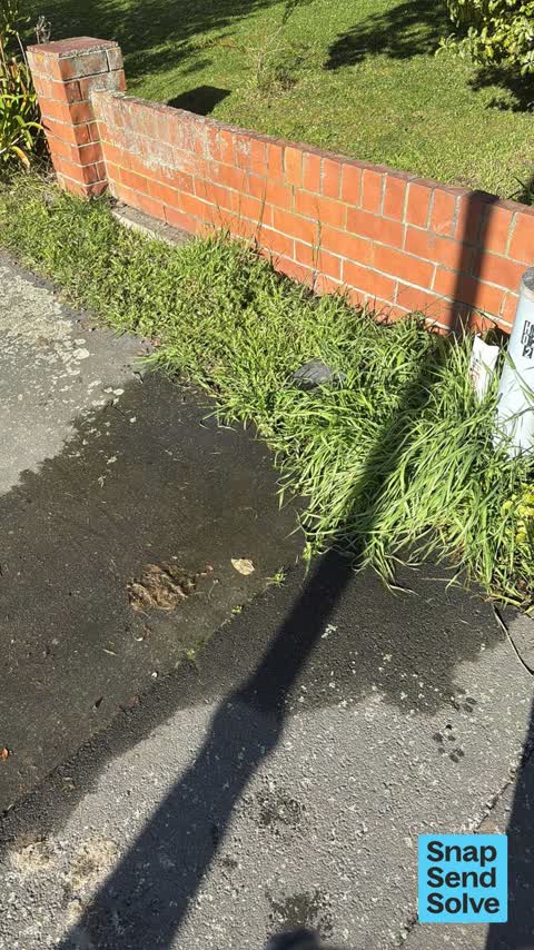 Water Leak, a report photo