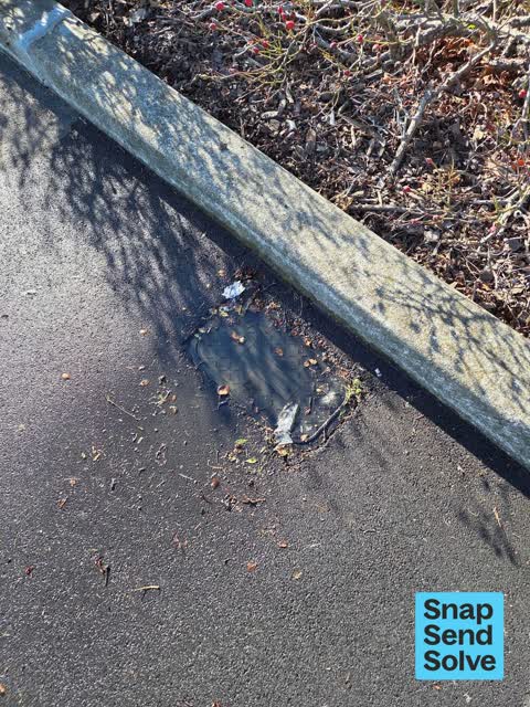 Water Leak, a report photo