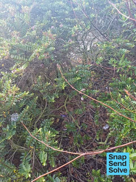 Dumped Rubbish, a report photo