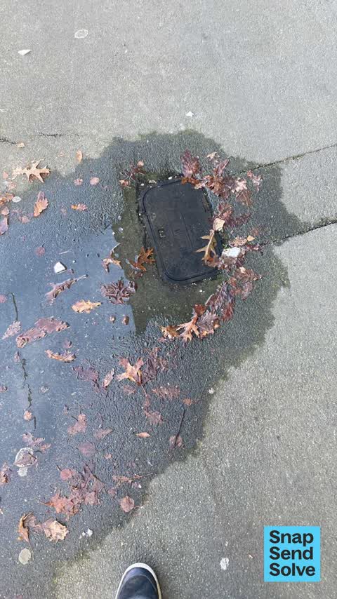 Water Leak, a report photo