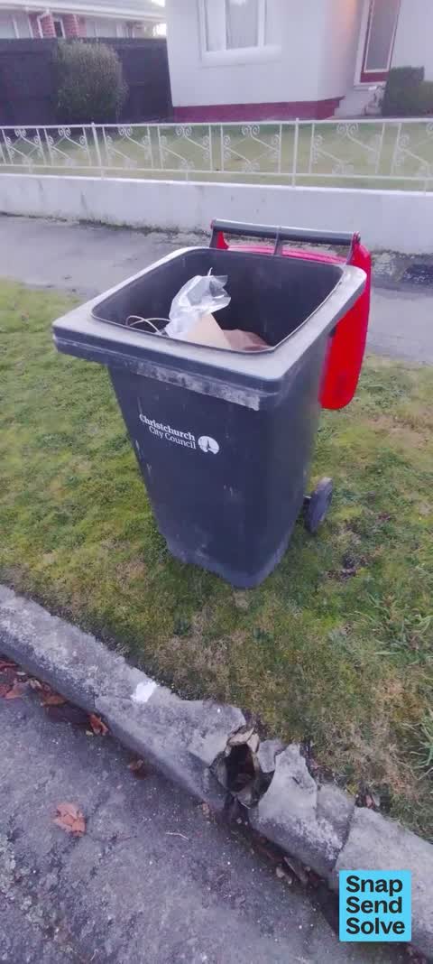 Rubbish and Bins - General, a report photo