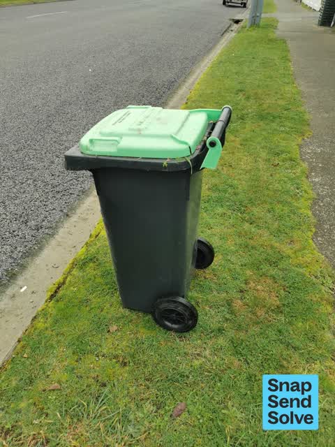 Rubbish and Bins - General, a report photo