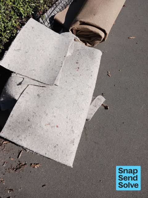 Dumped Rubbish, a report photo