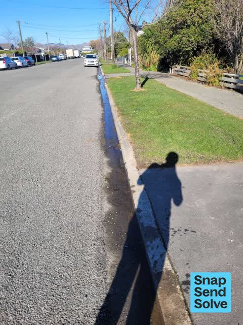 Street Gutters / Storm Water, a report photo