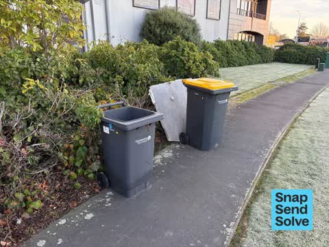Rubbish and Bins - General, a report photo