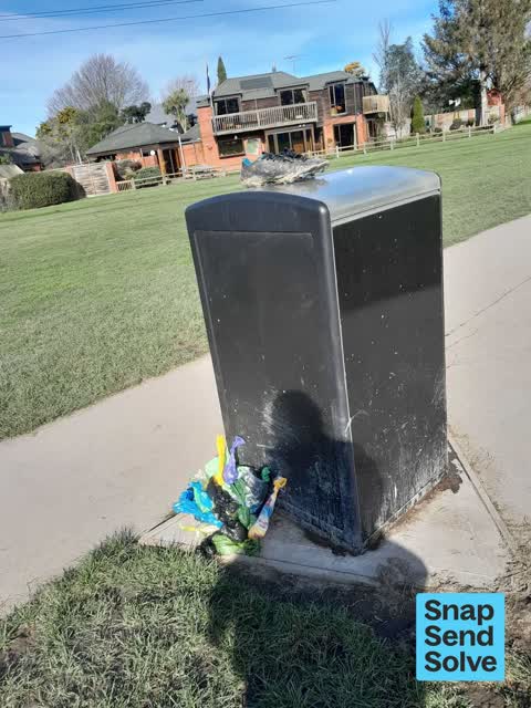 Rubbish and Bins - General — a report photo