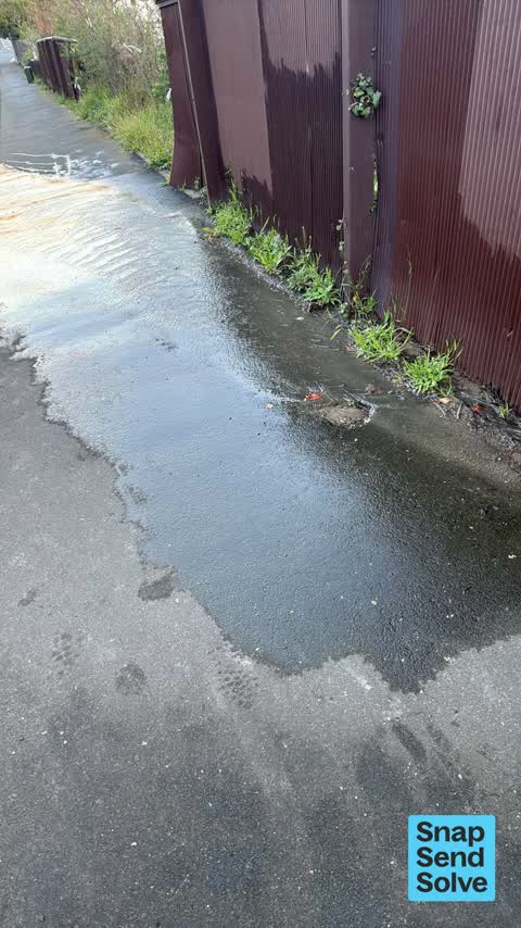 Water Leak, a report photo
